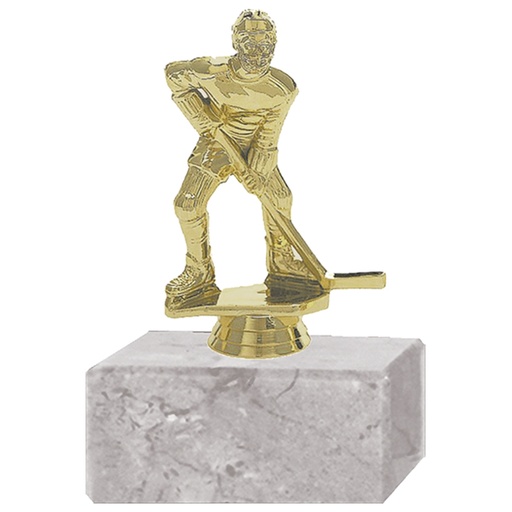[591094035] Trofeo Plástico Hockey Hielo Masculino -[591094035]b